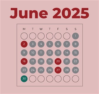 What did the Lebanese State do in June 2025?