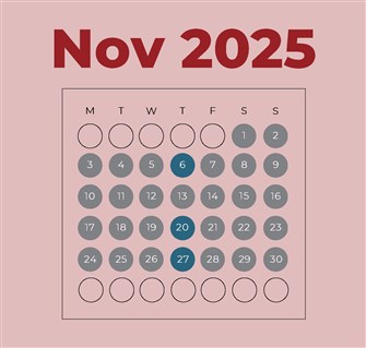 What did the Lebanese State do in November 2025?