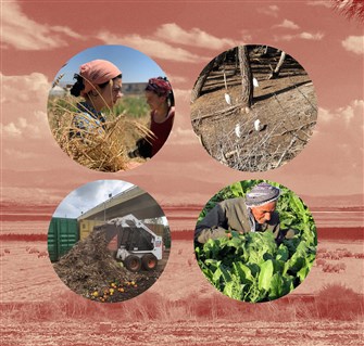 Green Struggles: Agro-ecologists and experiments for just environmental futures in Lebanon